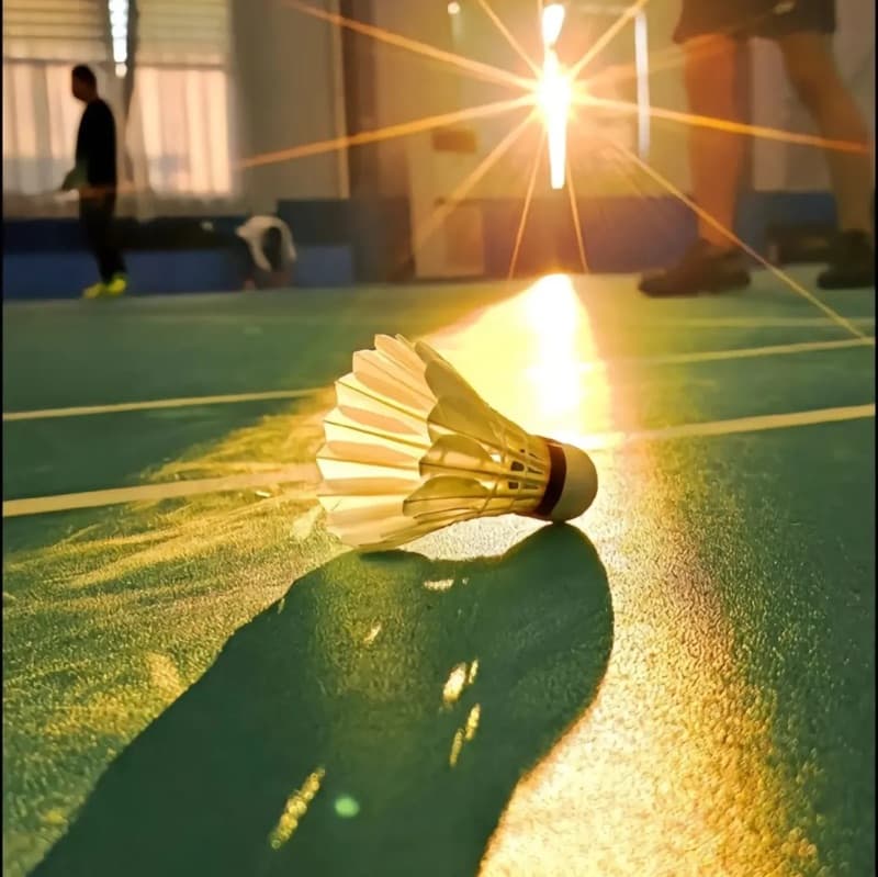 Casual Badminton Session - Redhill β Badminton at Merstham Park School, Redhill, Surrey